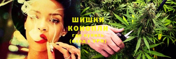 сатива Мензелинск