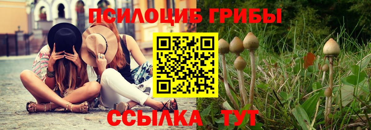Галлюциногенные грибы Psilocybe  Вход с VPN  закладки  Спасск-Дальний 