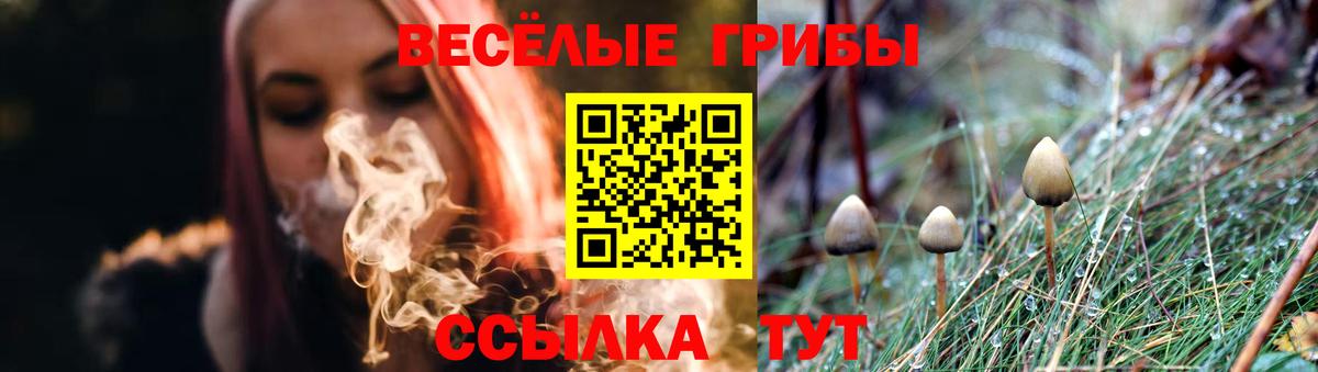 Галлюциногенные грибы ЛСД Спасск-Дальний